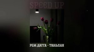 Рем Дигга - Тюльпан (speed up)