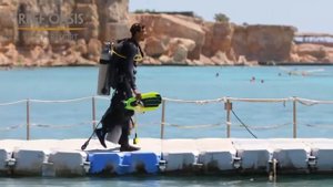 Отель Reef Oasis Beach Resort 5* - Египет, Шарм-эль-Шейх