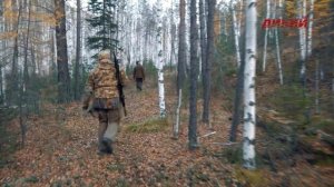 Горная охота Эдуарда Бендерского. Изюбрь в Иркутской области