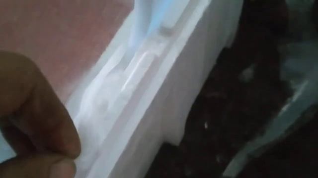 Приёмка оплодотворённой икры заказчиком!