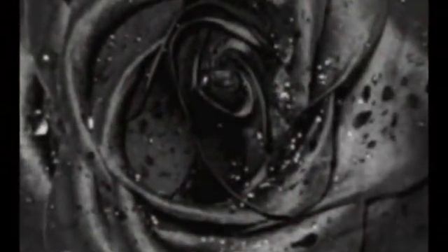 Зачем тебя люблю не знаю.... смотреть онлайн