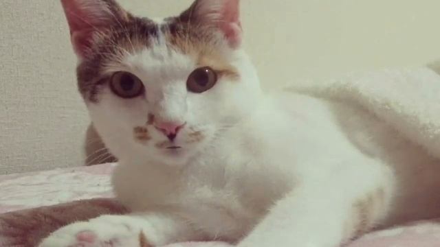 Приметы, которые указывают на лжеца.