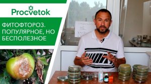 Фитофтора томатов и картофеля. 25 минут на знания или годы на бесполезные супер-средства?