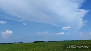 Проверяем ловушки для пчёл. Результат порадовал 😁