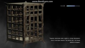 как излечиться в скайриме