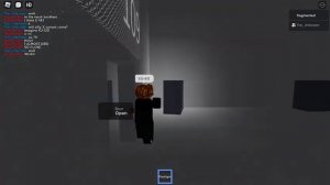 So we enabled custom entities and extra entities in The U Section.. and it's very chaotic | Roblox