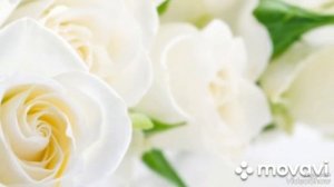 (3)...  О нежных розах...