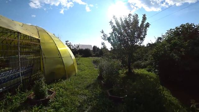 7 июля. Разморозила морозилку. Собрала малину, сварила варенье. Милка приболела.