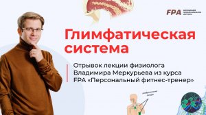 Глимфатическая система | Владимир Меркурьев (FPA)