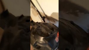 Обзор самого дешёвого строительного пылесоса графит 59G608 Graphite 59G608 40 литров за 8000 руб.