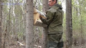 Солонец. Как сделать за пол часа.