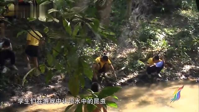 青海雪山下，生活着牧民一家，儿子从寺庙赶回家中，帮助家人迁移牧场，生活原始而惬意【共饮河川】 смотреть онлайн