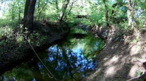 Ловля голавля на микроречке.