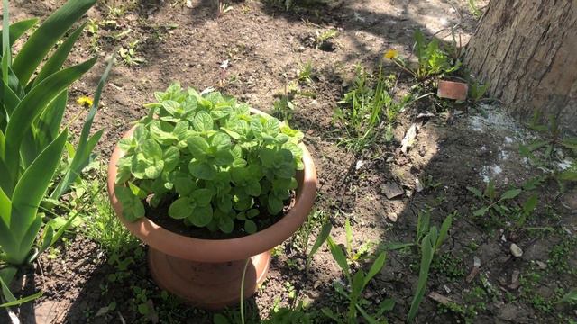 3 мая 2022 г. смотреть онлайн