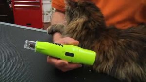 Demonstration: Furminator Nail Trimmer and Nail Grinder for Cats