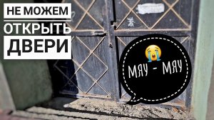 Котенок замурован ЗАЖИВО. 1 часть.