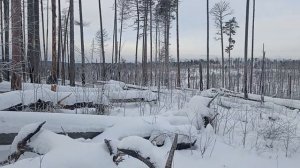 путик