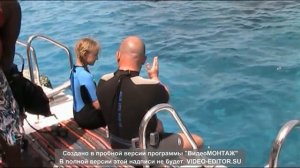 Незабываемый Шарм! Regency Plaza Aqua Park & Spa 5* 15.04.2018