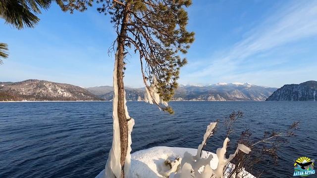 ЭМОЦИОНАЛЬНЫЙ ДЕТОКС/ ЯЙЛЮ