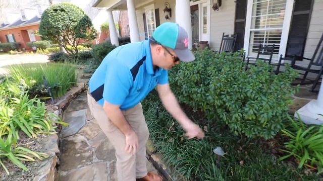 Trimming Liriope AKA Monkey Grass смотреть онлайн