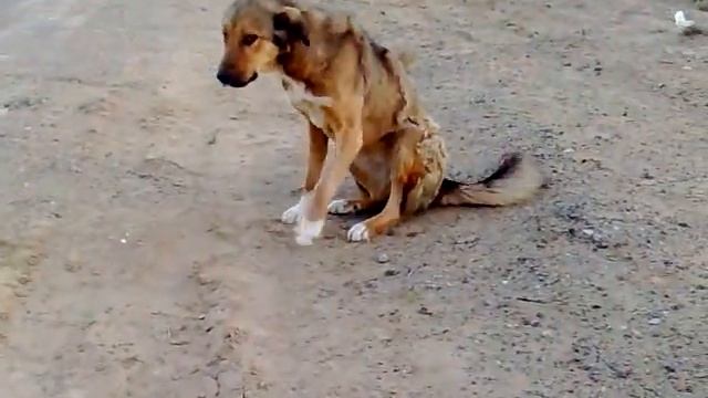 Чайхана смотреть онлайн