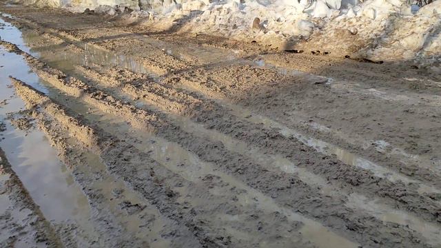 Участок дороги-9км на село Гарь, Высокогорский район, РТ, РФ, 25.03.2023года. смотреть онлайн