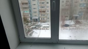 Плесень и водопад! Почему я  больше не буду ставить жалюзи на пластиковые окна