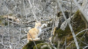 Экскурсия по Железноводску. Март 2021