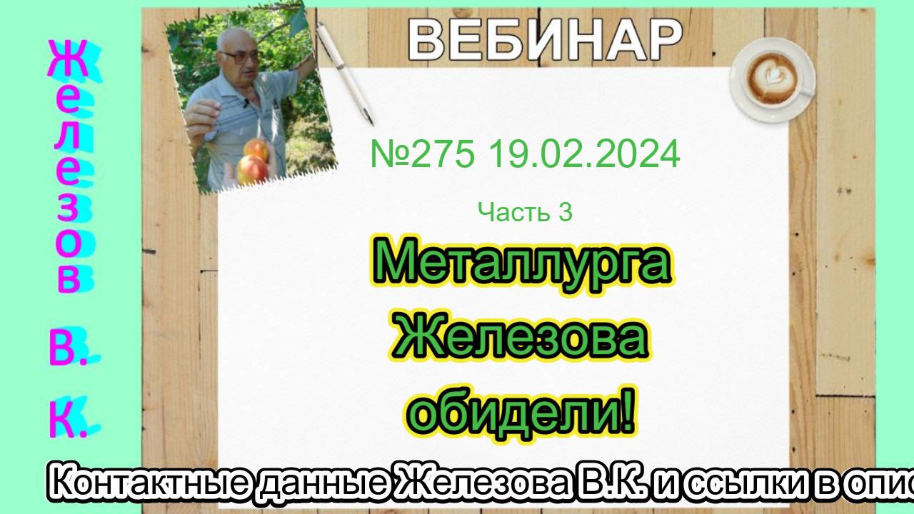 Железов Валерий.  Вебинар 275.  ч.3. Металлурга Железова обидели!