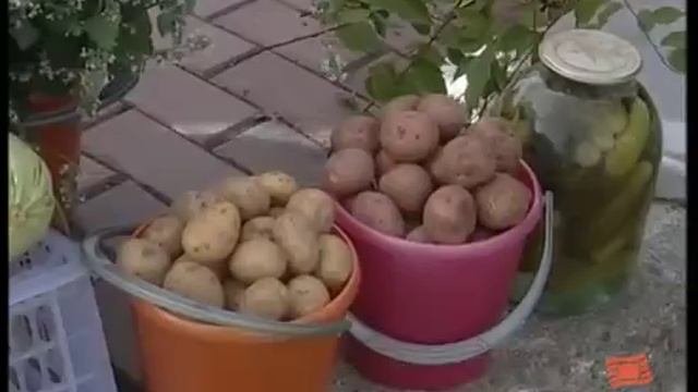 Первое заседание Торгового Совета состоялось в Братске