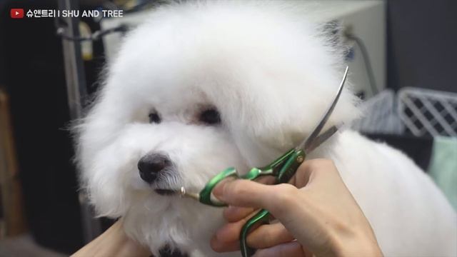 안녕하세요. 슈앤트리 털형외과 입니다. смотреть онлайн