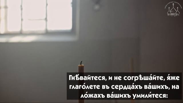 Псалом 4. Когда одолевают болезни а финансовые проблемы кажутся неразрешимыми.