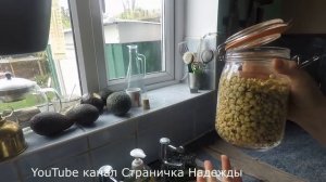 Как прорастить чечевицу