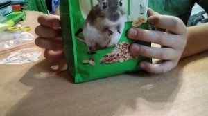 Чем отличается корм для хомяков от корма для песчанок