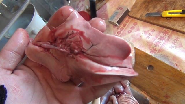 Разделка налима Смотрим чем питается налим Камни в налиме Макса печень налима смотреть онлайн