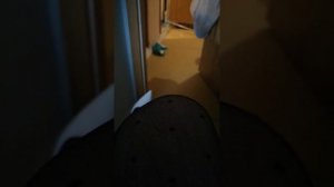 Приехали убирать квартиру. Я в колготках, лифчике и туфлях - 9