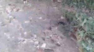 Фольксваген пассат Б5. Чёрный дым ПОЧИМУ?