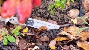 Дачный влог. Сделали полку на кухне. Покупки для дома с Алиэкспресс.