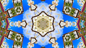 ФотоШоу PRO!!! Проекты ФотоШоу PRO! Проект Ромашковое лето 2!!! Ромашковая галерея!!!