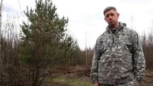 Охота на вальдшнепа на тяге