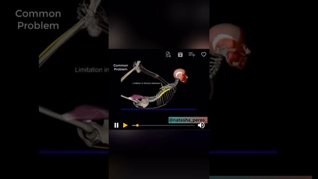 Разбор позы лука йога смотреть онлайн