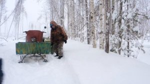 Жулька, лес и снегоход. Самодельный снегоход.