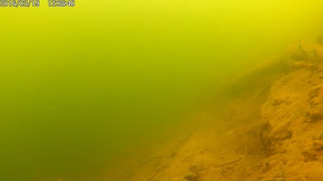 Экшн камера под водой. Съемка через вай-фай. смотреть онлайн