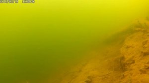 Экшн камера под водой. Съемка через вай-фай.