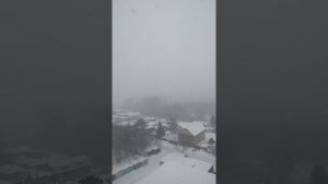 Снегопад в Новосибирске