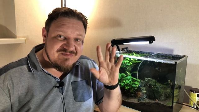 МИНУСЫ 30 ЛИТРОВОГО АКВАРИУМА смотреть онлайн