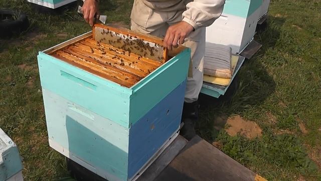 что в магазинах 1 мая 2019 г смотреть онлайн