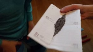 Из Хлопушки делаем фейерверк/LifeHack