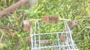 Копия видео "Про металлические подставки под улья"