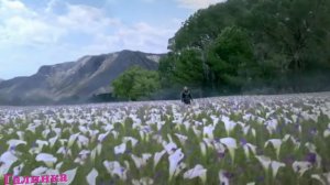 Магамет Дзыбов Сердце кровью обливается